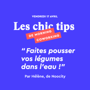 Chip Tip #15 : Hélène de Noocity